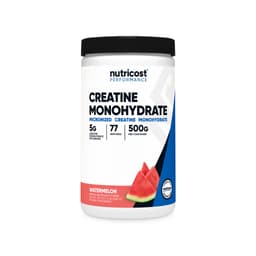Creatine Monohydrate - Watermelon (2 x 500g)